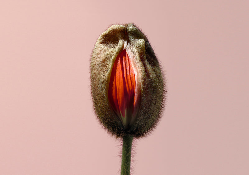 Hur kan jag behandla vaginal torrhet? - VagiVital Sweden